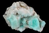 Amazonite Crystal Cluster - Colorado #129660-1